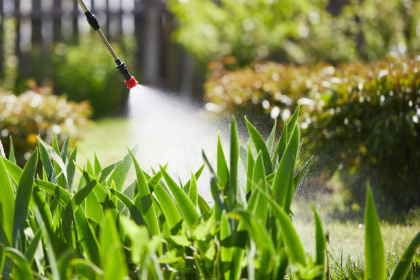 24/7 Emergency Mosquito Control experts in Coachella, CA